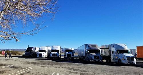 Government - Municipal - Fleets